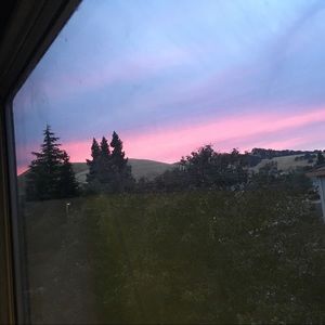 Meet your Posher, Freeda